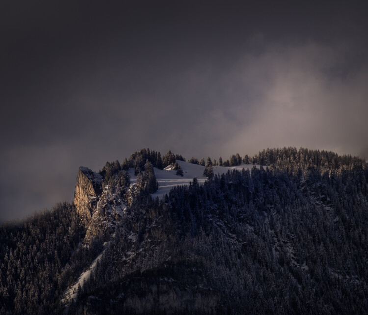Markanter Fels im Berner Oberland/Thunersee